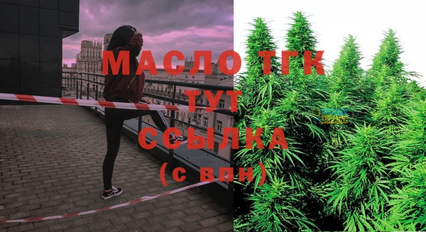 ешки Заводоуковск