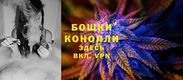 ешки Заводоуковск
