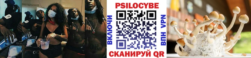 Псилоцибиновые грибы мицелий  Купить закладки  Высоковск 