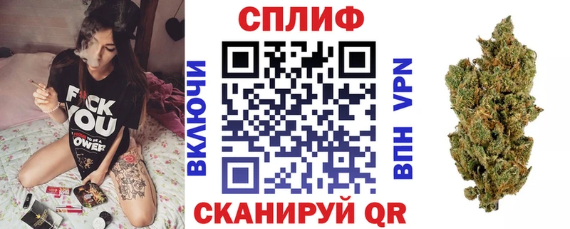 Купить где  Высоковск  Конопля марихуана 
